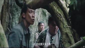 国产野战视频在线观看,全景展现我国军事实力与英勇风采  第2张