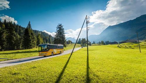 青青草国产线观,青青草的青春旋律与时代印记  第1张