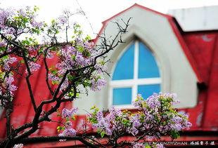 丁香五月国产,国产生态的生机盎然 第1张 丁香五月国产,国产生态的生机盎然 第1张